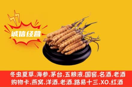 儋州市回收冬虫夏草